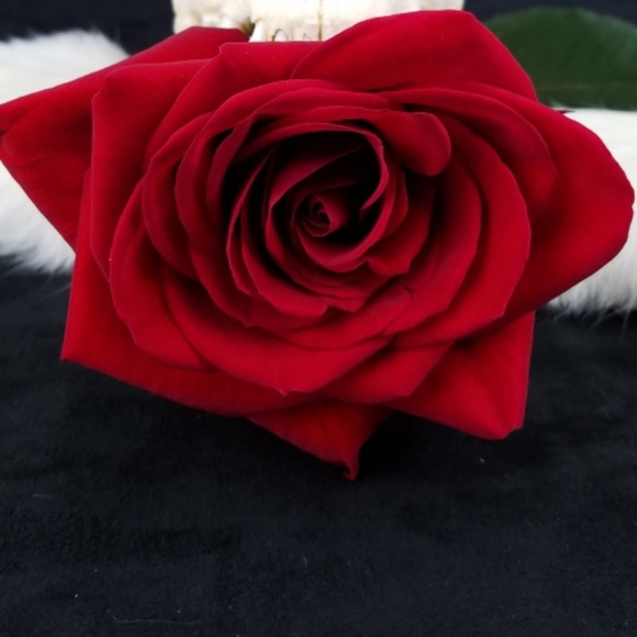 Take a look around! - Picture 1 of 1